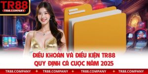 Điều khoản và điều kiện