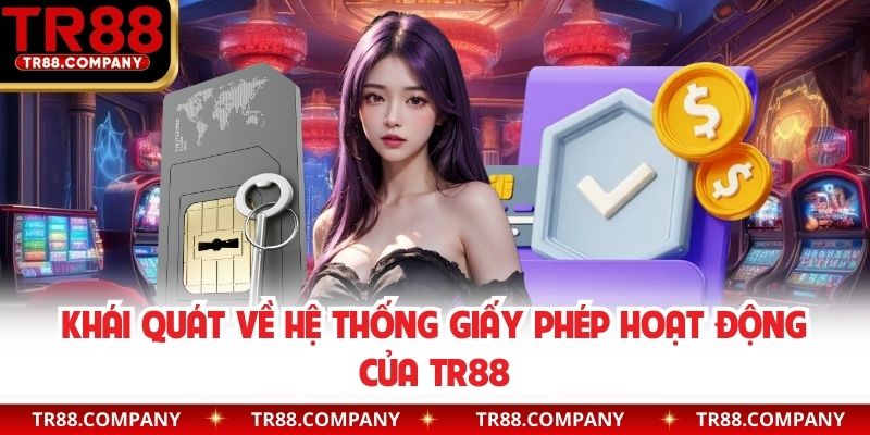 Khái quát về hệ thống giấy phép hoạt động của TR88